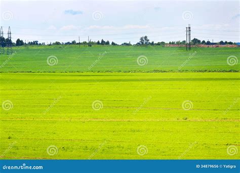 Field, minimalism style stock photo. Image of farm, rural - 34879656