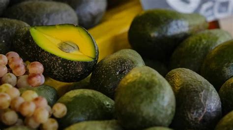 Cuáles son los beneficios de la palta Palta Hass Chile