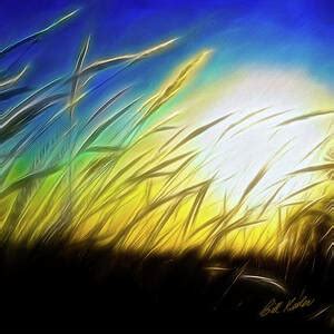 Tall Grass Photograph By Bill Kesler Fine Art America