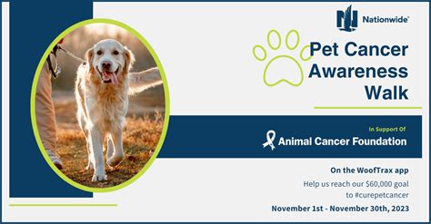 Animal Cancer Foundation