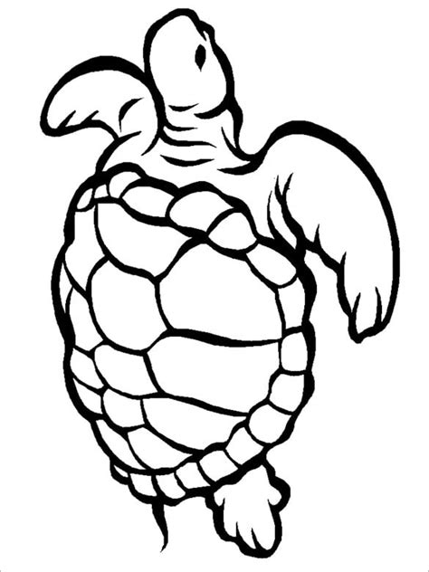 21 Turtle Templates Crafts Colouring Pages Free Premium Templates