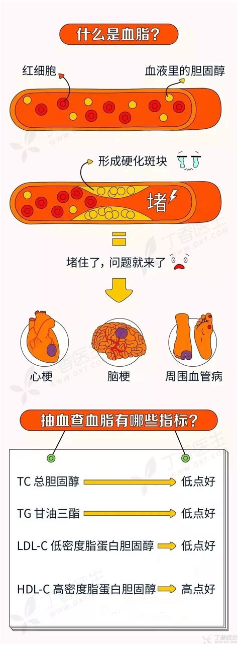 血脂异常！诸多指标该怎么看？读懂你的化验报告单 医疗资讯 华夏热点