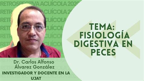 Tema Fisiolog A Digestiva En Peces Youtube