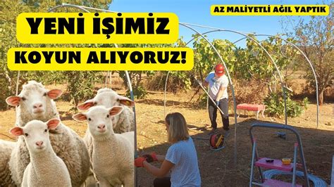 Koyun Ağılı Yapımı Koyun Alıyoruz Yeni İşimiz Koyunculuk Şehirden Köye