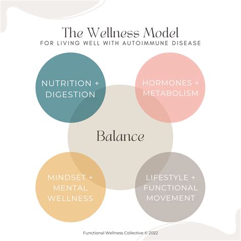 The Wellness Model™ — Functional Wellness Collective