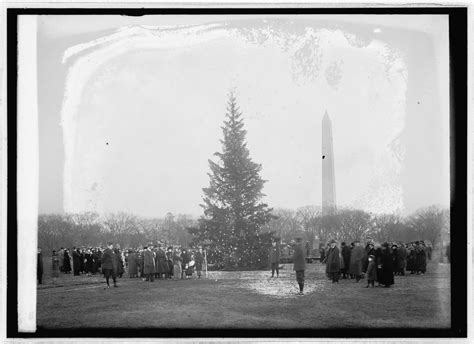 The Christmas Tree Is One of the World's Oldest and Most Evergreen Traditions - Atlas Obscura