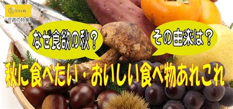 なぜ食欲の秋？ その由来は？ 秋に食べたい・おいしい食べ物あれこれ ミライ科 進研ゼミ中学講座ブログ