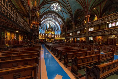 è fatta la nuova Notre Dame gli interni della cattedrale