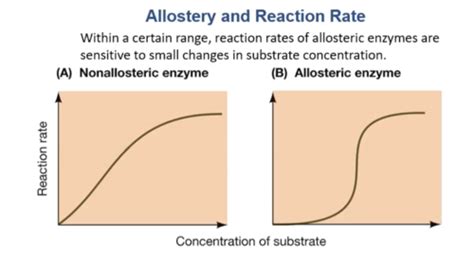 Biochem Final Exam Ch 2 7 Flashcards Quizlet