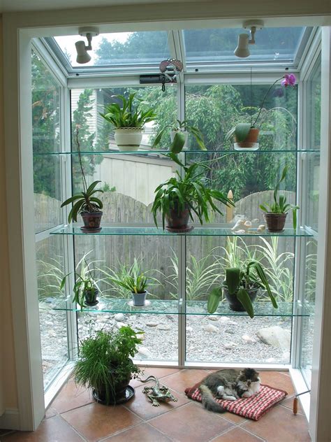 Easy Greenhouse Ideas Greenhouseacademy Indoor Window