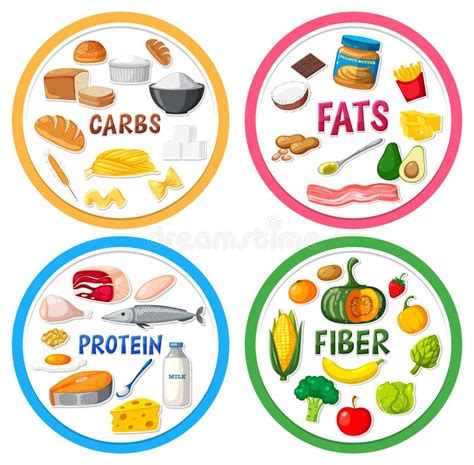 The Four Main Food Groups Stock Vector Illustration Of Template