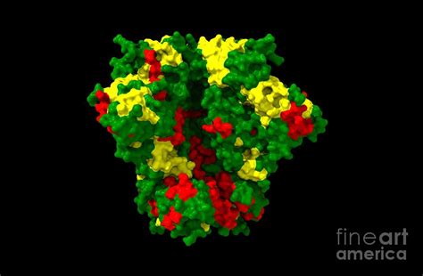 Hiv Spike Protein Photograph By Dr Victor Padilla Sanchez Phd