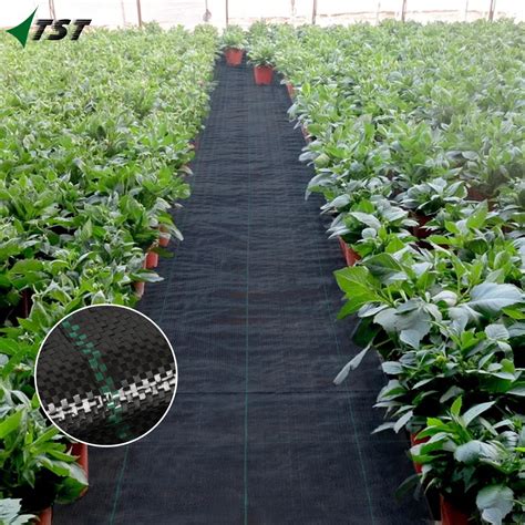 Heavy Duty Plastic PP Anti Grass Weed Barrier Ground Cover Agro Weed