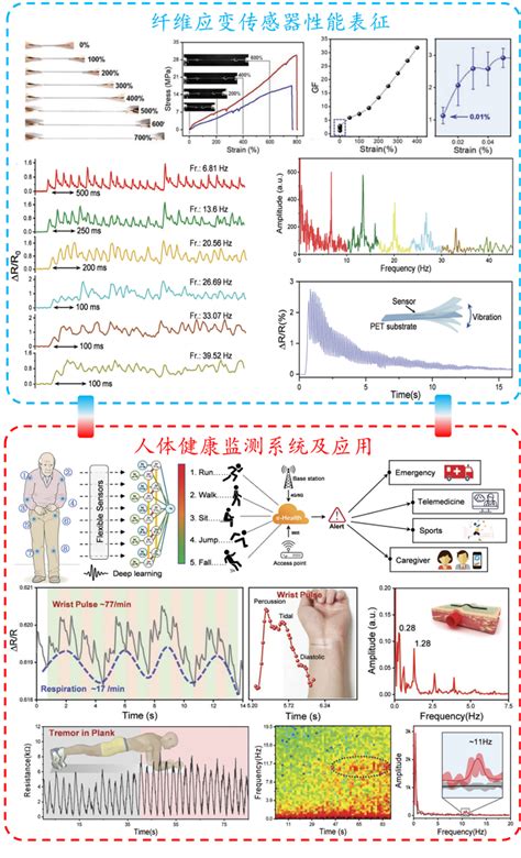 黄维院士团队王学文教授课题组关于柔性可穿戴应变传感器的研究进展 蜂耘网