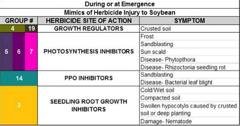 Herbicide Injury During And After Emergence In Soybean Integrated Pest And Crop Management