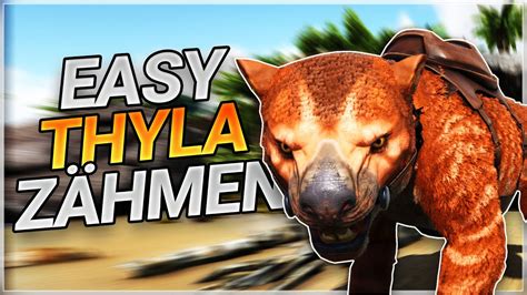 So Zähmst Du Easy Und Ohne Mods Einen Thylacoleo Ark Survival Evolved Youtube