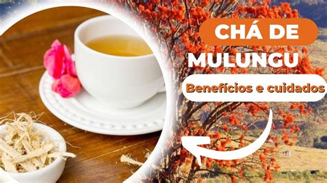 Ch De Mulungu Serve Para Insonia Ralmante Natural E Calmante Youtube