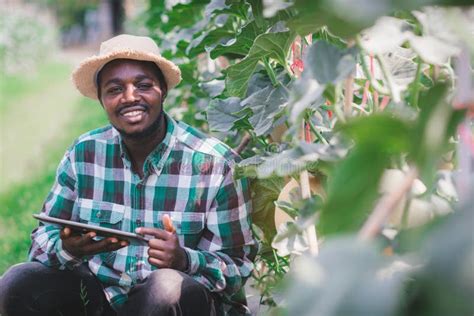 African Farmer Using Tablet For Research The Melons In Organic Farm