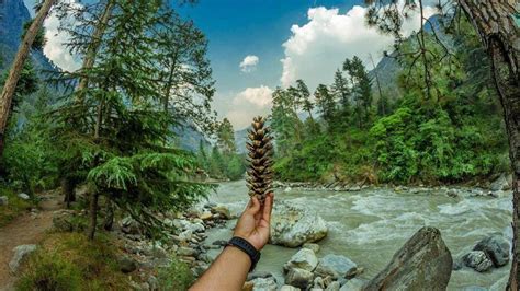 Manali Kasol Jibhi Upto 25 Off Trekhievers