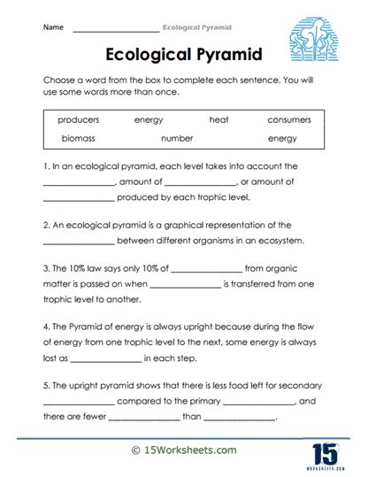 Ecological Pyramid Worksheets 15