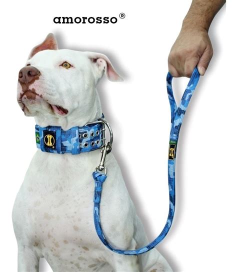 Coleira Cachorro Grande Pit Bull Camuflado Militar Azul