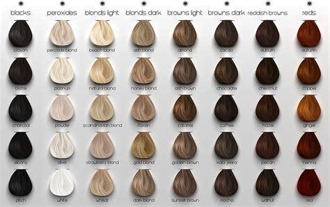 Ash Hair Color Chart