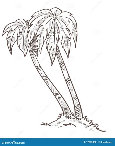 Wild Island Nature Palm Trees Growing From Ground Isolated Sketch