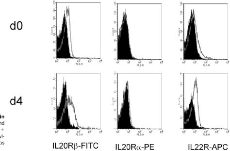 Figure From Interleukin Inhibits The Plasma Cell Differentiation