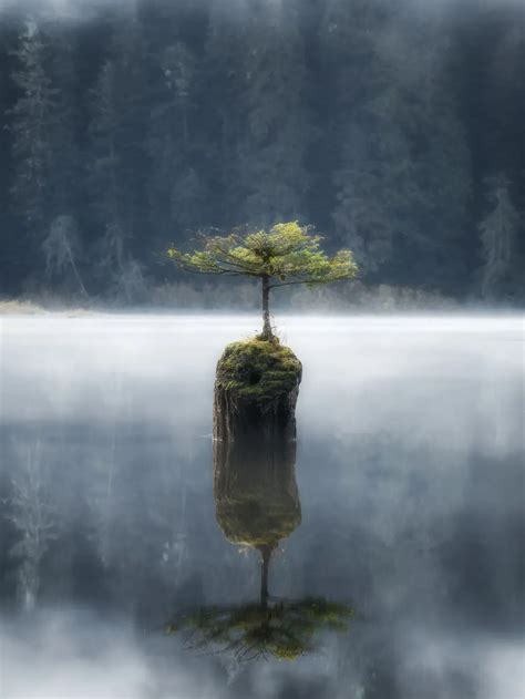 Winning Photos of The International Nature Photography Awards 2023 ...