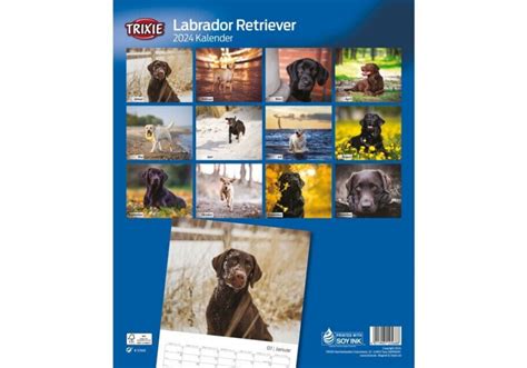 Trixie Labrador Kalender Gabie Jocelyn