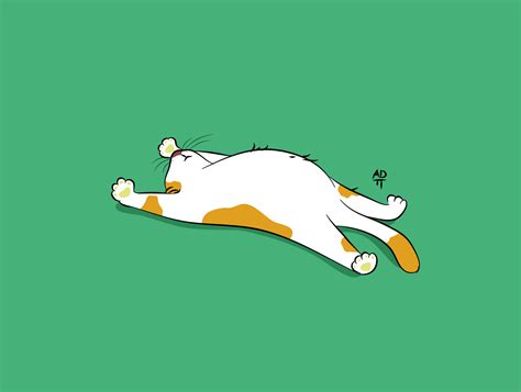 My Lazy Cat By Alwi On Dribbble