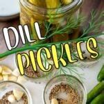 Homemade Canned Dill Pickles I Wash You Dry