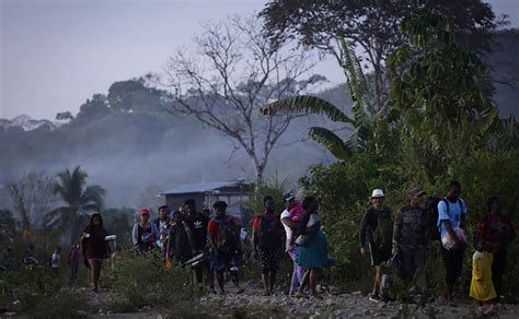 Cerca de 80 mil migrantes han cruzado la selva del Darién en 2023