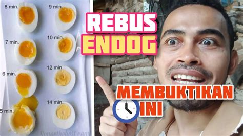 MEMBUKTIKAN Berapa Menit Sampai Mateng Maksimal Cara Rebus Telur