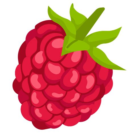 Raspberry Generic Flat Icon