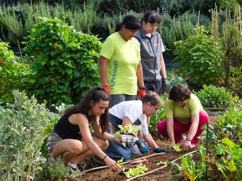 Da Dove Nasce Il DES Agricoltura Sociale DES Agricoltura Sociale