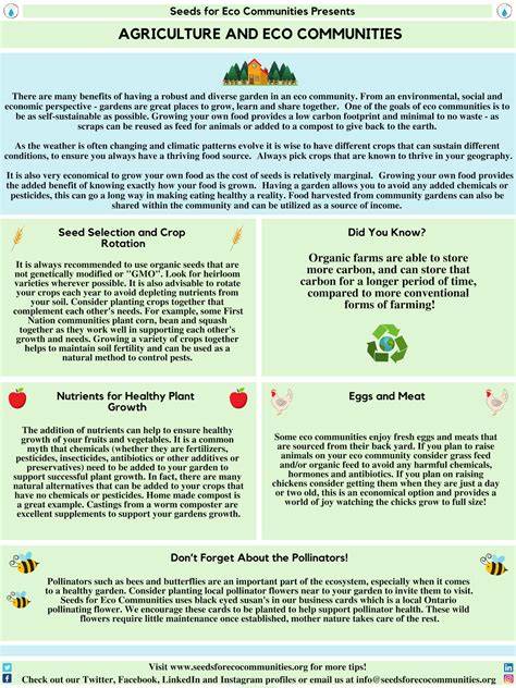 Agriculture | Seeds for Eco Communities