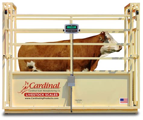 How Much Do Livestock Scales Cost? — ASC