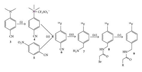 Figure 2 2 3 5 Bis 2 Fluorobenzylidene 4 Piperidon 1 Yl N 4