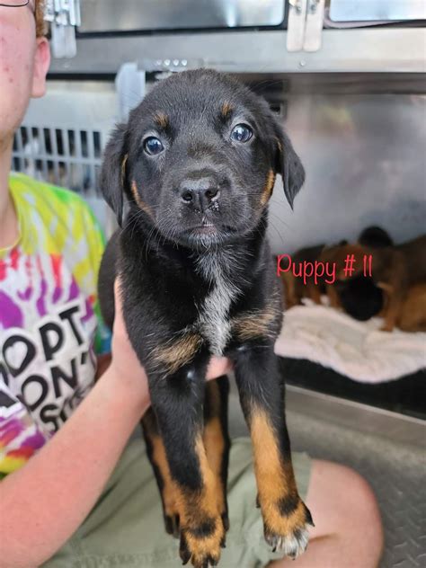 Tinley Park Patch Police Reports - Top Crimes and Incidents from Yesterday's Activity 2