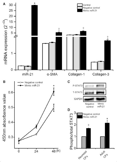 Effects Of Overexpression Of Microrna Mir On Cardiac Fibroblast