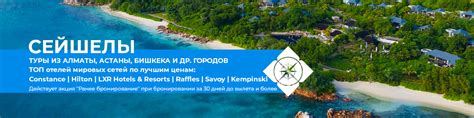 Просмотр заявок