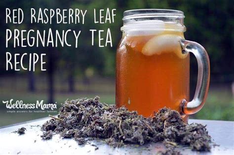 Red Raspberry Leaf Pregnancy Tea Artofit