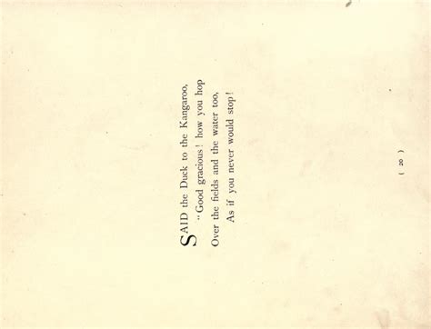 Nonsense Drolleries The Owl And The Pussy Cat The Duck And The Kangaroo By Edward Lear