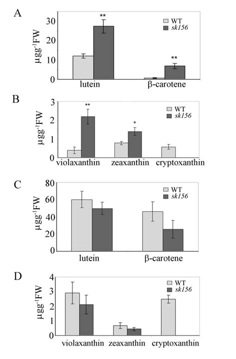 Carotenoid Levels In Sk156 Mutant A And B Carotenoid Levels In