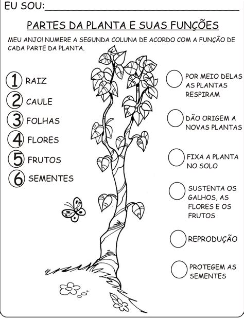 Atividades Sobre As Plantas 3 Fichas E Atividades