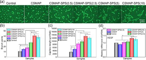 Angiogenesis Properties Of Hydrogels By Evaluating The Huvecs Tube