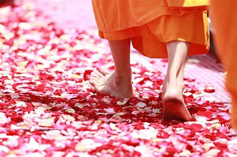 Theravada Buddhism Bowl And Robes Bowl With Robes Ordination