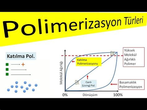 Anyonik Ve Katyonik Polimerizasyon Aras Ndaki Fark Kelime Fark