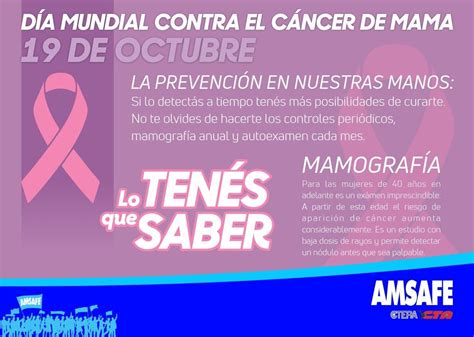 19 De Octubre DÍa Internacional De Lucha Contra El CÁncer De Mama Amsafe